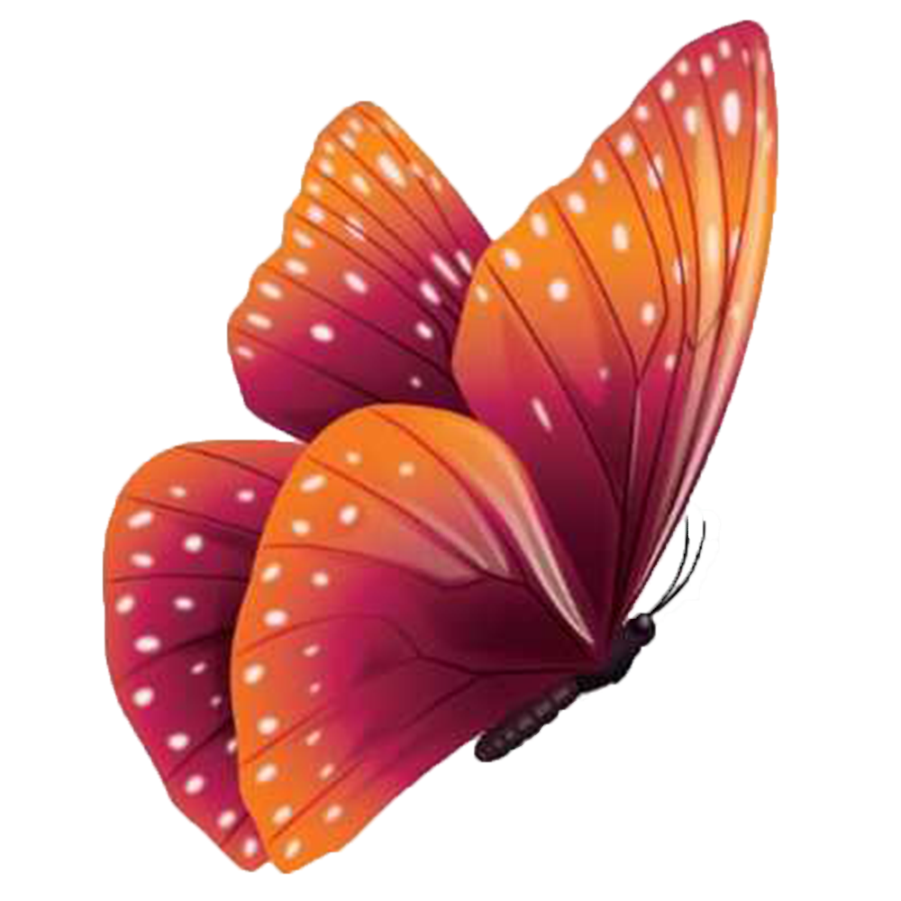 butterfly menu logo